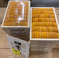 日本直送- Kanedai海膽