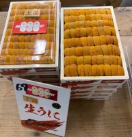 日本直送-霧多布海膽