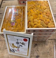 日本直送-瀨戶海膽