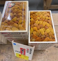 日本直送-北海道根室 鷗洋海膽