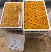 日本直送-奧山海膽