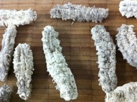 東非州乾刺皇參