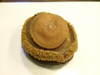 南非野生乾網鮑